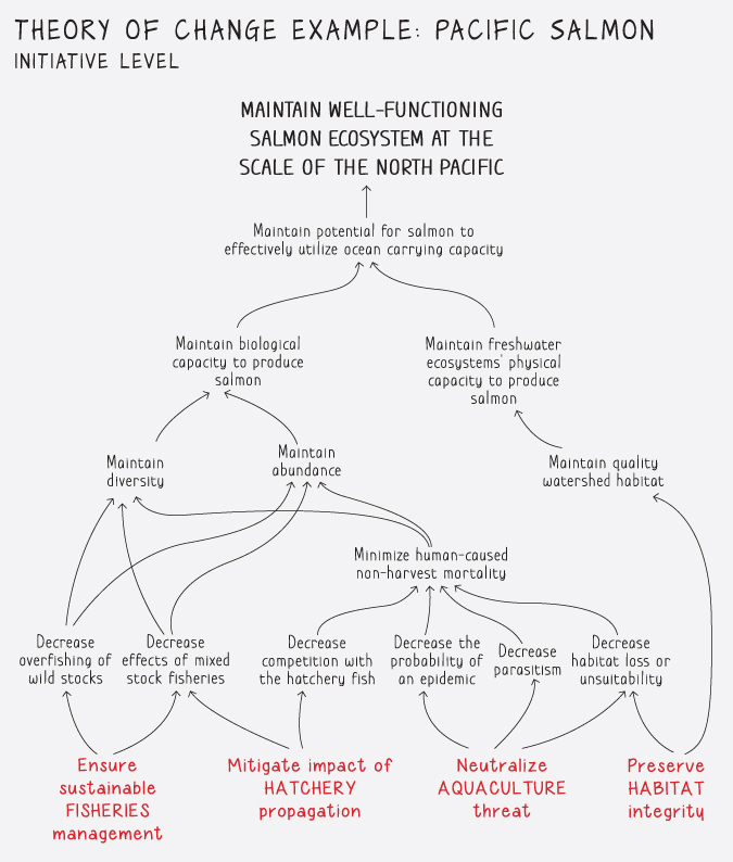 A chart depicting the theory of change with Pacific salmon as example and the functioning of the ecosystem.