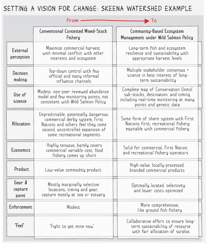 A chart depicting the managing of a long-term strategy portfolio of Pacific salmon with setting a vision for change.