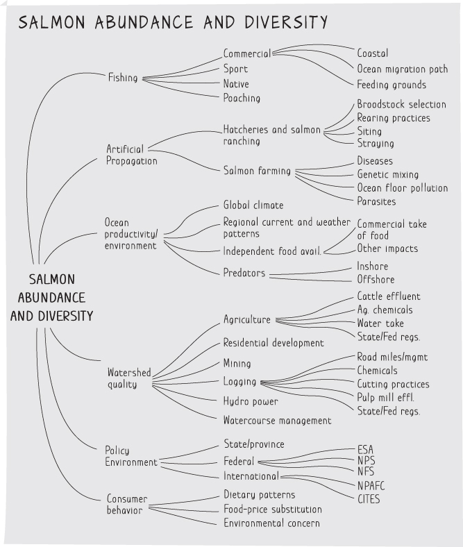 Illustration of an example of the lever tree depicting salmon abundance and diversity, for saving Pacific salmon.