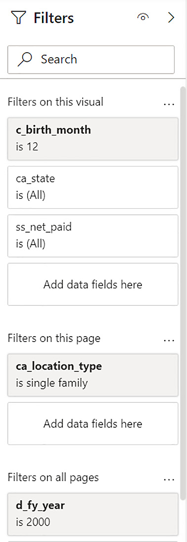 Figure 12.9 – Filtering pane showing filtering data by year, customer location type, and birth month 