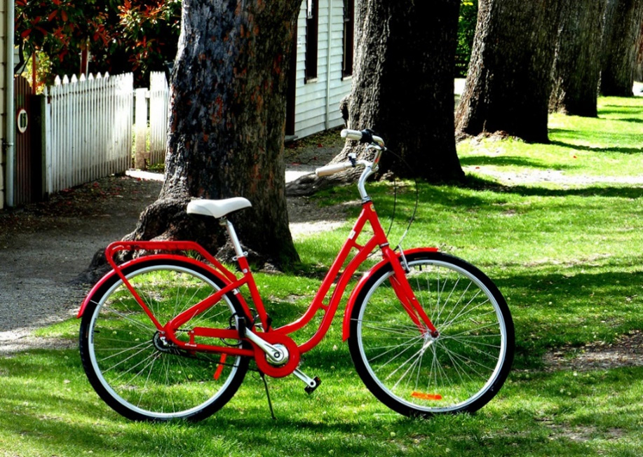 Figure 4.2 – Public domain image of a bicycle 