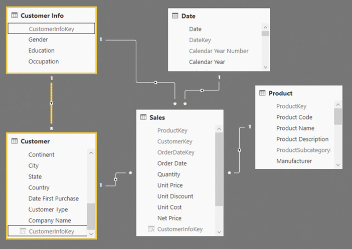 This figure shows the data model and emphasizes the active versus inactive relationships.