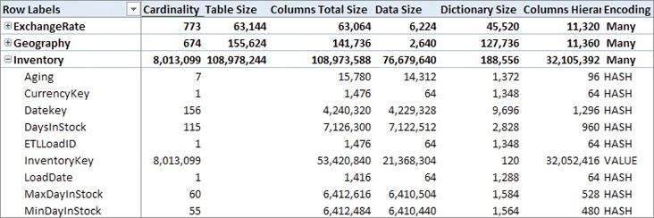 This figure is an example of a report on a data model, obtained with VertiPaq Analyzer.